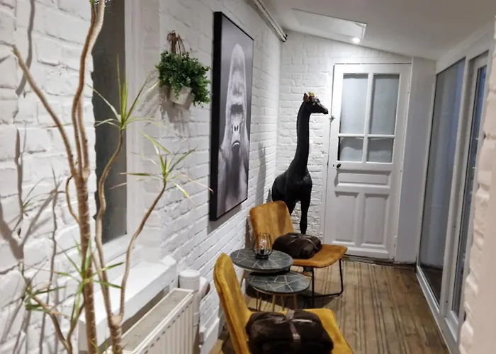 Appartement Dunkerque 3 Chambres, Terrasse, Secteur Digue 