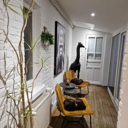 아파트 Dunkerque 3 Chambres, Terrasse, Secteur Digue 